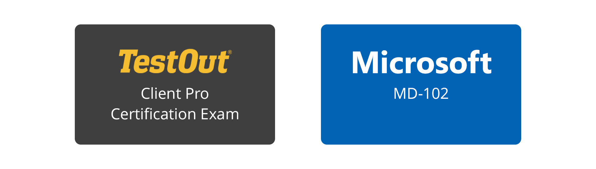 Purposes TestOut Client Pro